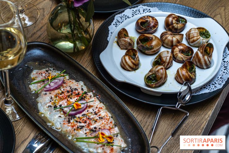 Les Chouettes restaurant  -  A7C3286