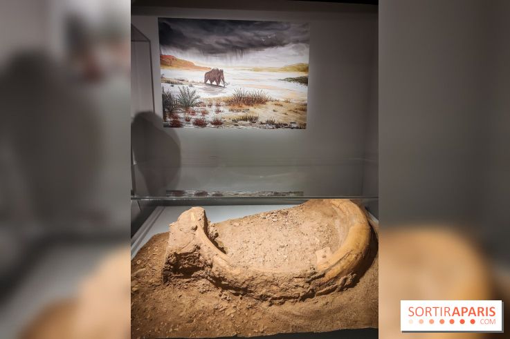 Dans la Seine : une expo de la Crypte archéologique dévoile les objets retrouvés dans la Seine  - IMG20240130094823