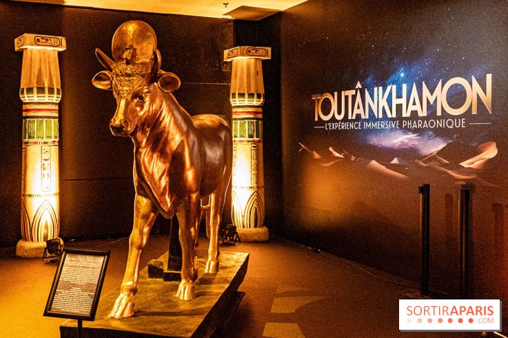 Toutankhamon, l'expérience immersive Pharaonique - les photos