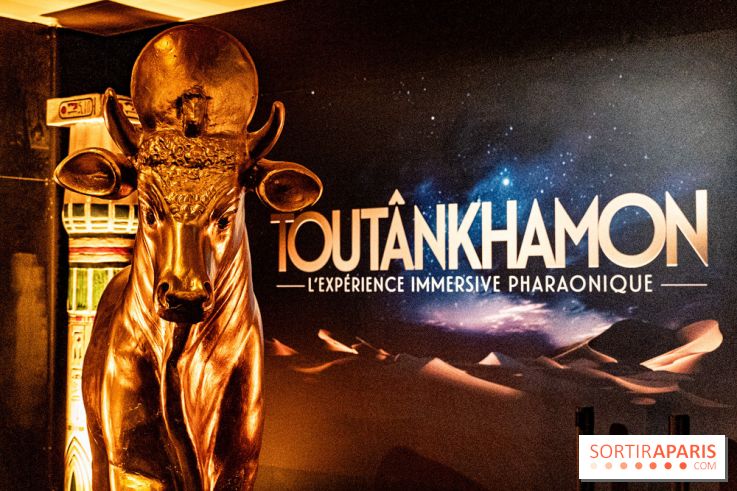 Toutankhamon, l'expérience immersive Pharaonique - les photos