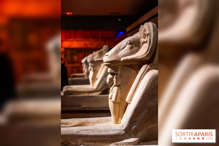 Toutankhamon, l'expérience immersive Pharaonique - les photos -  A7C4230