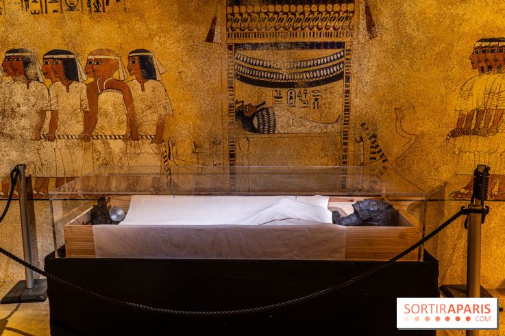 Toutankhamon, l'expérience immersive Pharaonique - les photos -  A7C4255