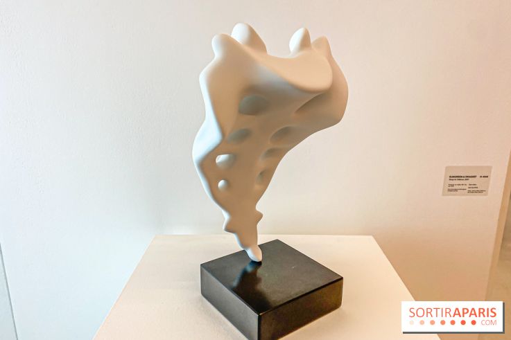 Exposition Perrotin Editions : Tous Collectionneurs ! à la galerie Perrotin - IMG 4319