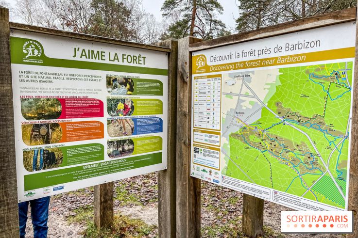 Le sentier de l'érosion à Fontainebleau - balade en forêt