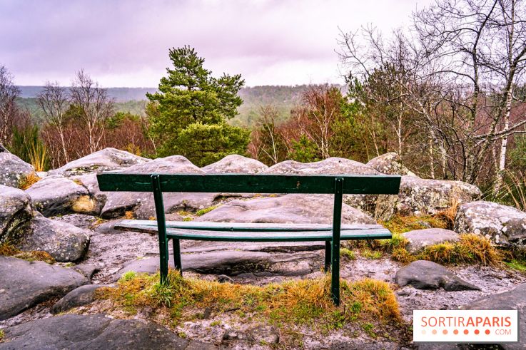 Le sentier de l'érosion à Fontainebleau - balade en forêt -  A7C4566