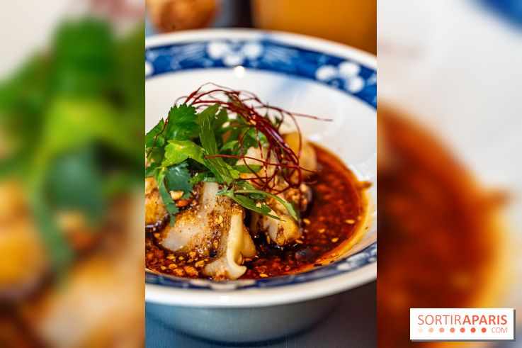 Nouilles Ban Ban restaurant  -  raviolis