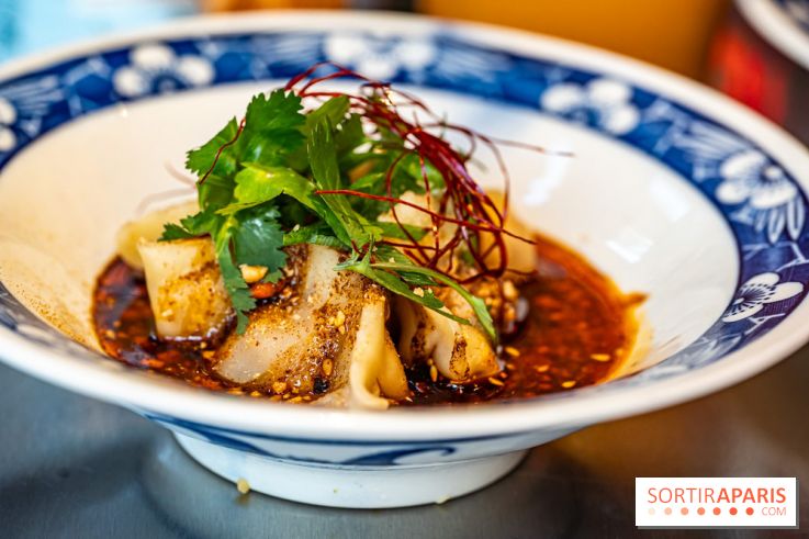 Nouilles Ban Ban restaurant  -  raviolis