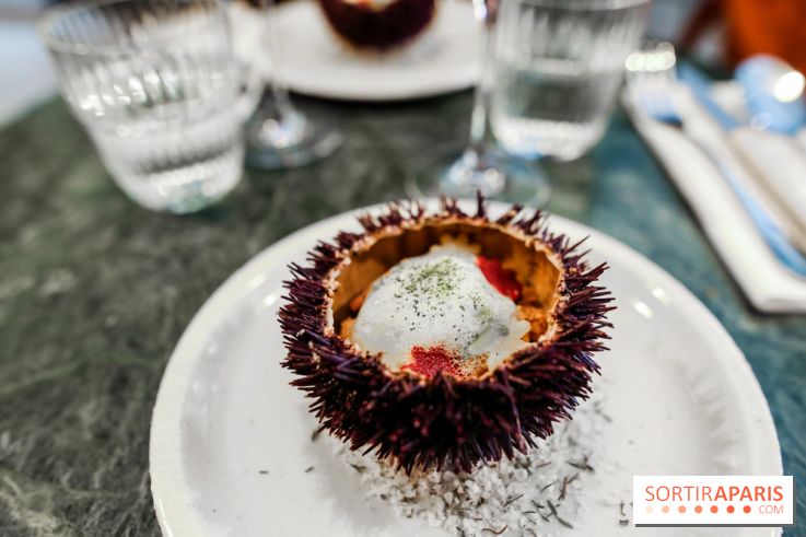 Calice à Paris, nos photos - IMG 2460