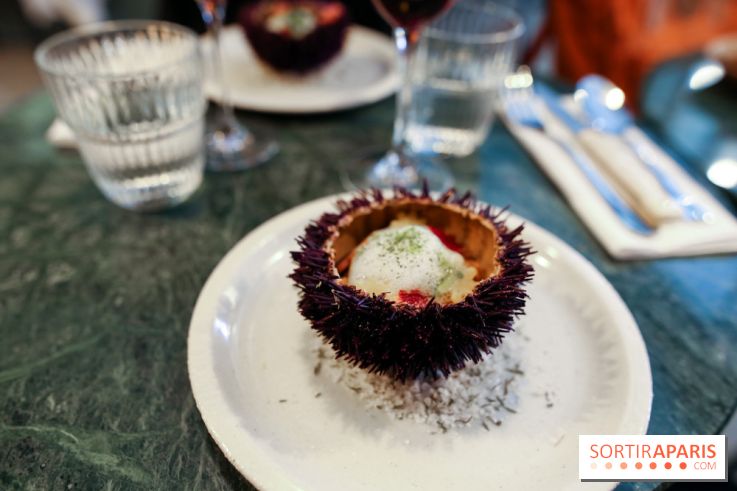 Calice à Paris, nos photos - IMG 2461