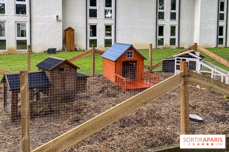 Demeures de Campagne Parc de Coudray : une évasion verte et cocooning à 35 minutes de Paris