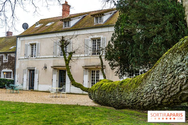 La Plaine de l'Angélus - chambre d'hôte et gîte près de Barbizon -  A7C5069