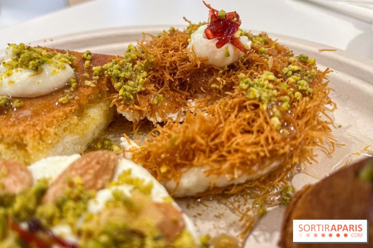 Maison Hallab - nos photos - image00013