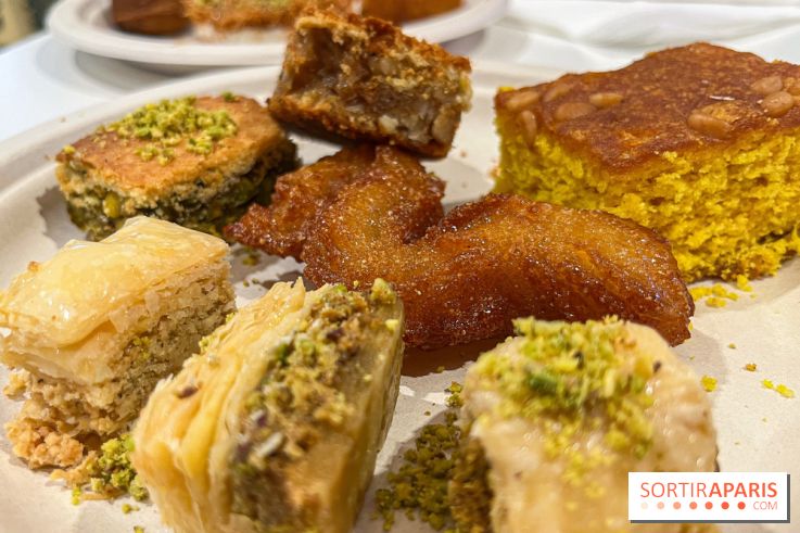 Maison Hallab - nos photos - image00016