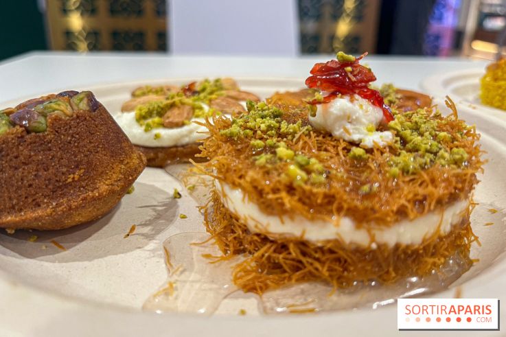 Maison Hallab - nos photos - image00017