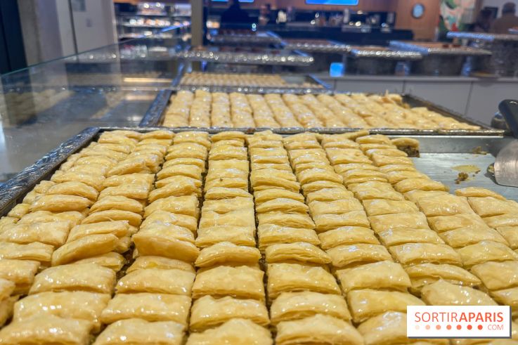 Maison Hallab - nos photos - image00006