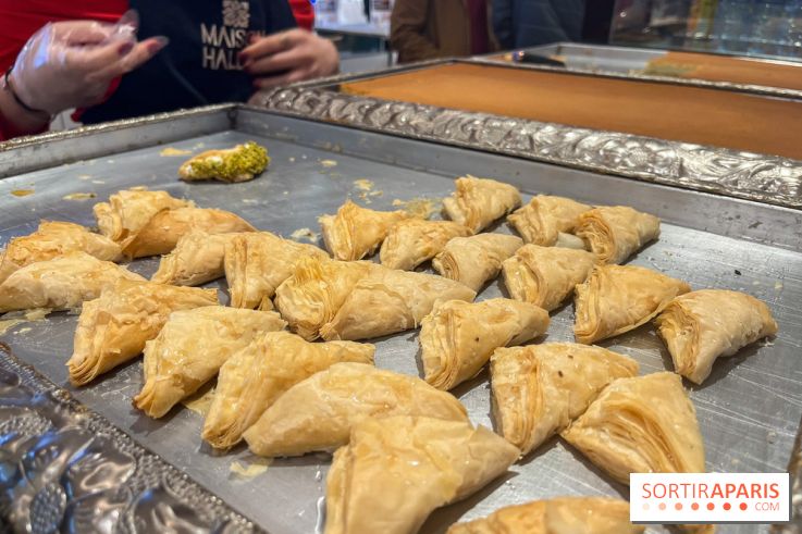 Maison Hallab - nos photos - image00007