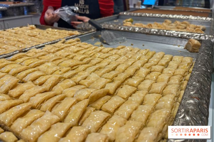 Maison Hallab - nos photos - image00008