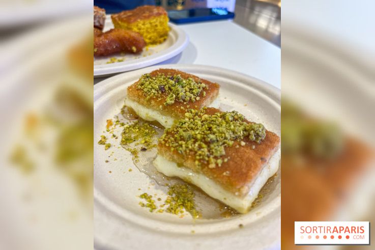 Maison Hallab - nos photos - image00010