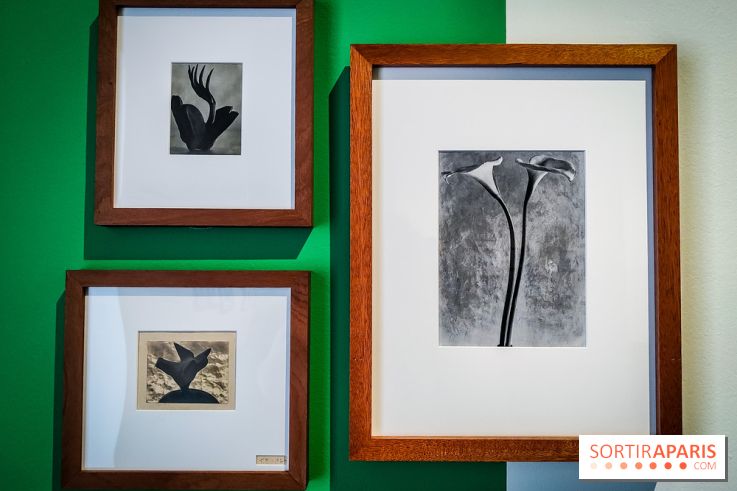 Tina Modotti : l'exposition photo rétrospective au Jeu de Paume - nos photos