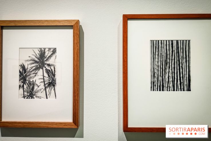Tina Modotti : l'exposition photo rétrospective au Jeu de Paume - nos photos