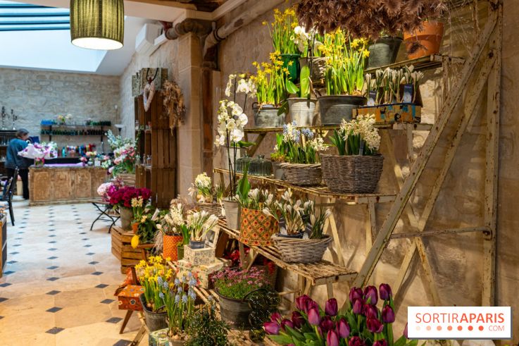 Cordelia Castellane Coffee Flower Shop -  A7C6105