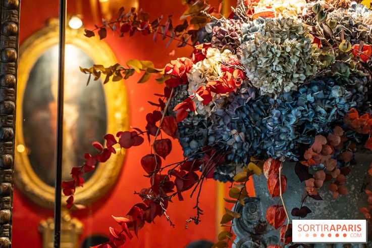 Le Procope restaurant -  A7C5542