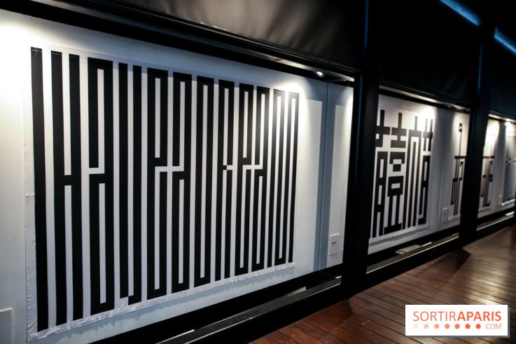 Tania Mouraud, nos photos de son expo à Fluctuart - IMG 2701