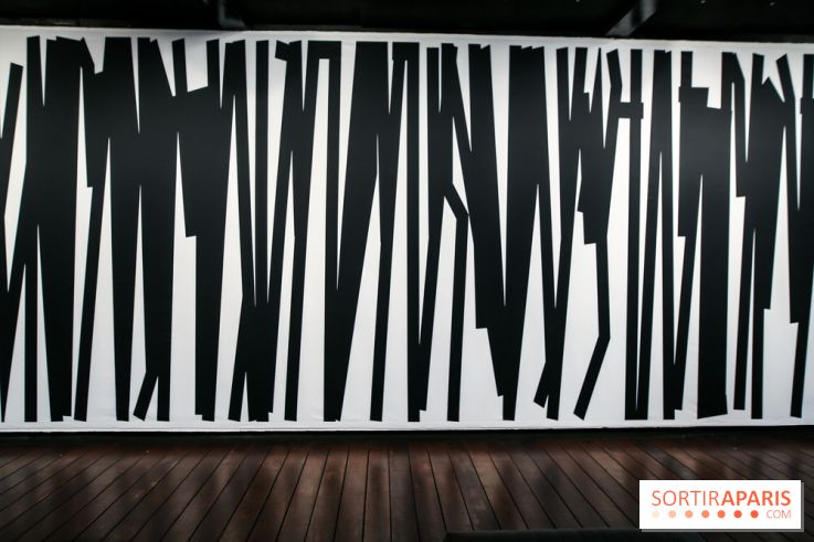 Tania Mouraud, nos photos de son expo à Fluctuart - IMG 2704