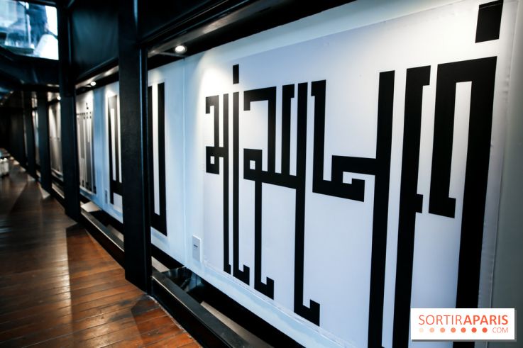 Tania Mouraud, nos photos de son expo à Fluctuart - IMG 2713