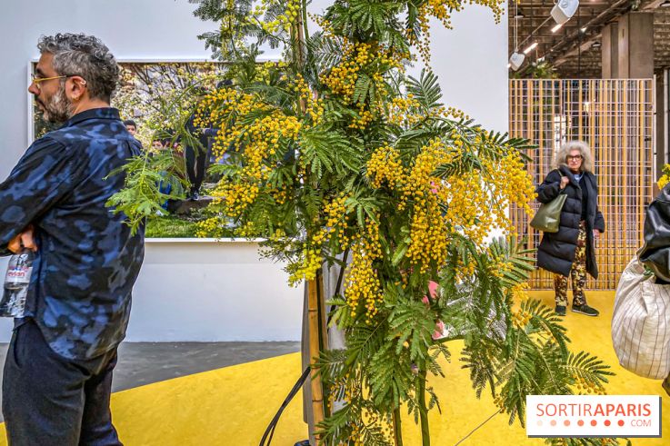 Exposition Signal de Mohamed Bourouissa au Palais de Tokyo - IMG 4475