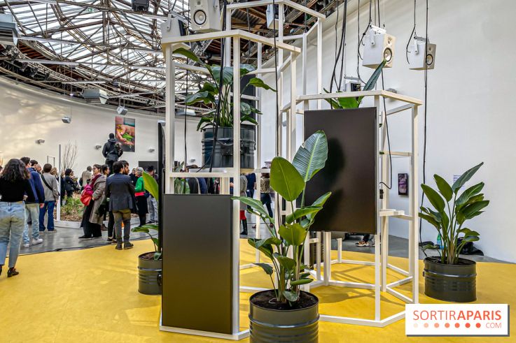 Exposition Signal de Mohamed Bourouissa au Palais de Tokyo - IMG 4486