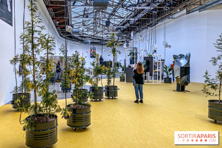 Exposition Signal de Mohamed Bourouissa au Palais de Tokyo - IMG 4531