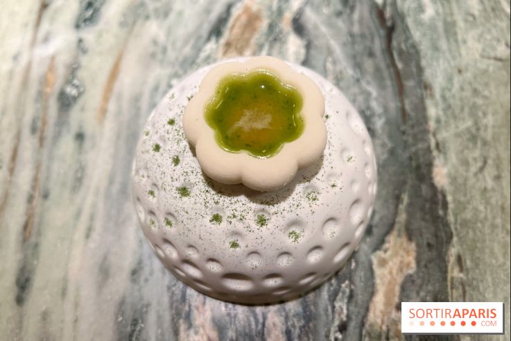 OKA - FOGO - Sorbet aneth, sarriette, citron