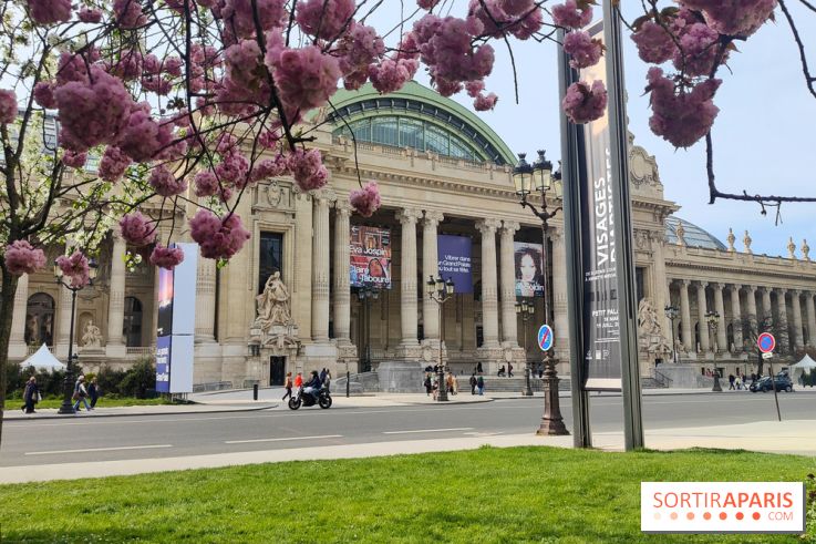Visuel Paris 8e - Grand Palais printemps 