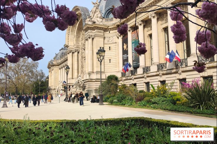 Visuel Paris 8e - Petit Palais printemps cerisiers fleurs 