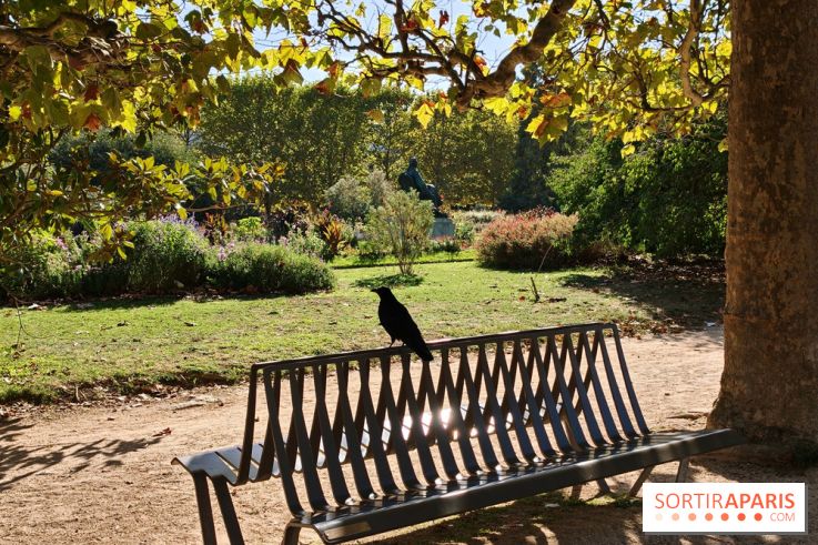 Visuel Paris 5e - corneille corbeau jardin des plantes