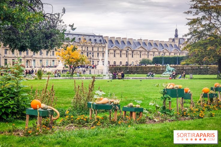 Visuel Paris 1er - jardin des Tuileries automne
