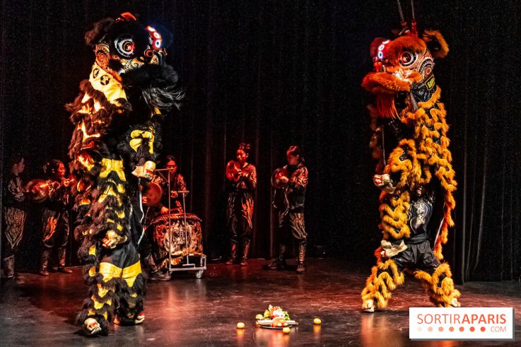 Nouvel An lunaire au Musée Guimet par le Collectif Banh Mi -  A7C6980