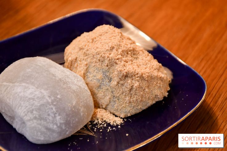 Zakuro, le restaurant authentique pour une cuisine japonaise réconfortante à Paris - DSC 0481