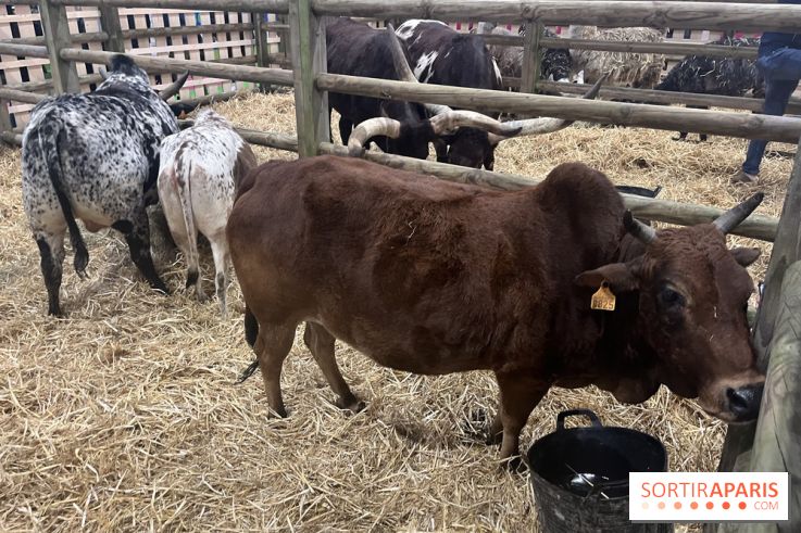 Salon de l'agriculture 2024 - image00058