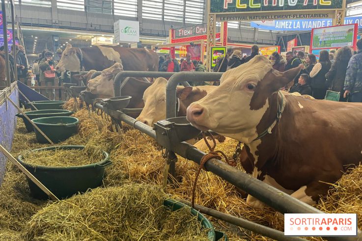 Salon de l'agriculture 2024