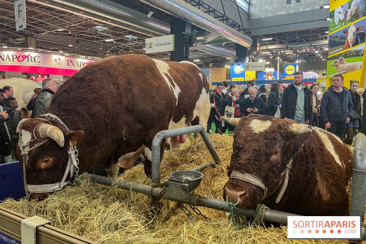 Salon de l'agriculture 2024