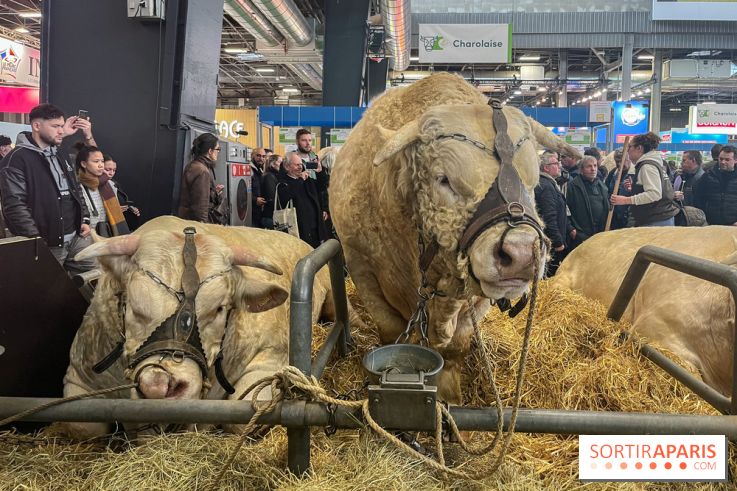 Salon de l'agriculture 2024