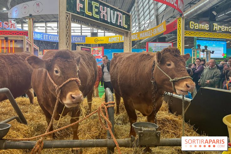 Salon de l'agriculture 2024