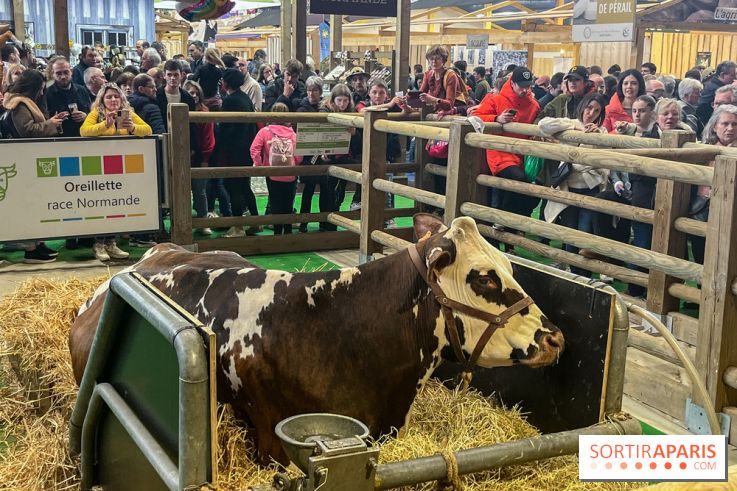 Salon de l'agriculture 2024