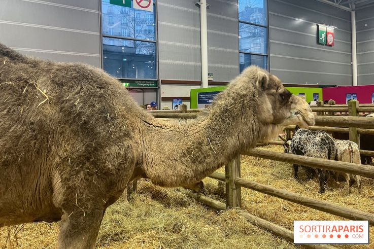 Salon de l'agriculture 2024 - image00004