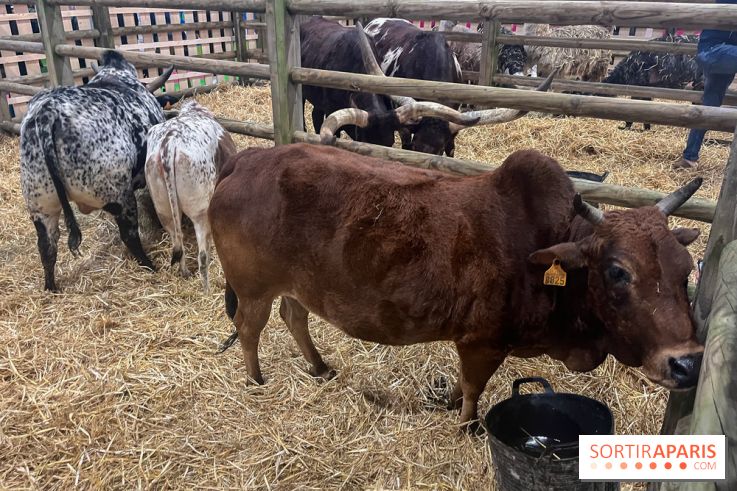 Salon de l'agriculture 2024 - image00002