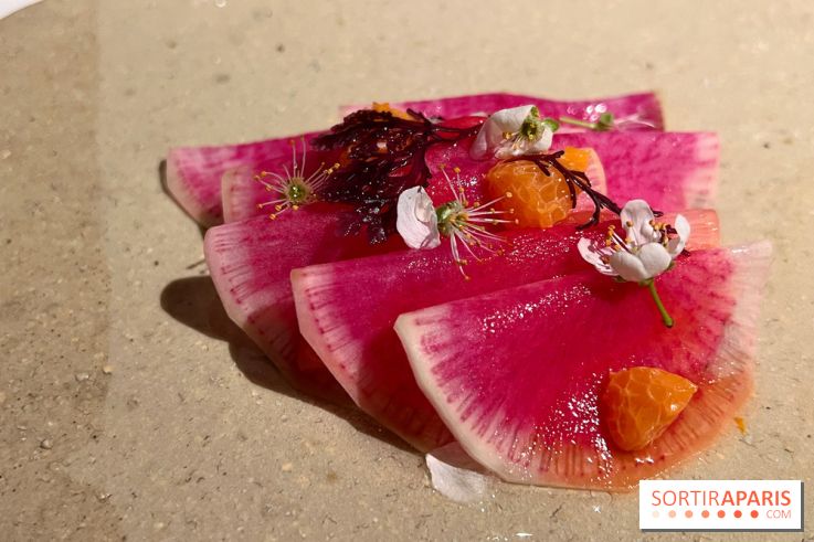 Datil - Radis, Saint-Jacques, ail