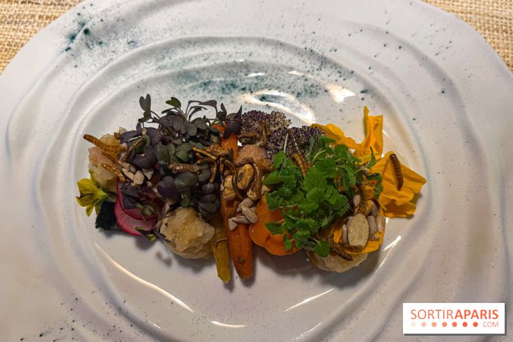 Inoveat, le restaurant gastronomique d'insectes à Paris - nos photos