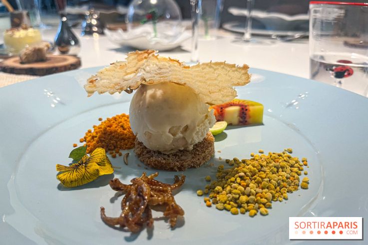 Inoveat, le restaurant gastronomique d'insectes à Paris - nos photos